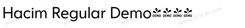 Hacim Regular Demo字体转换